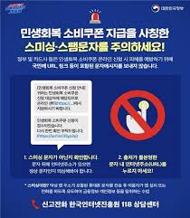 민생소비쿠폰 사용법