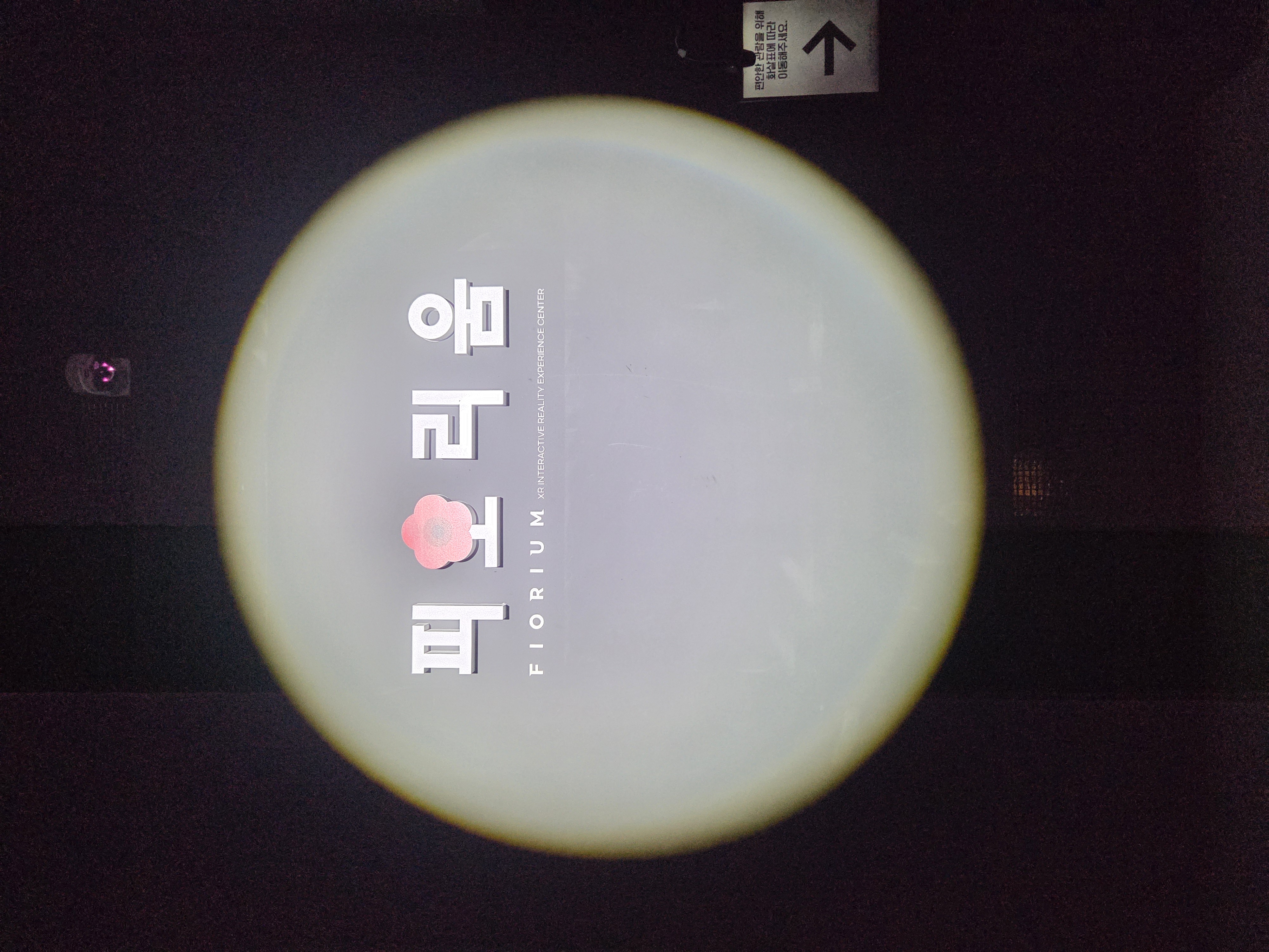 피오리움