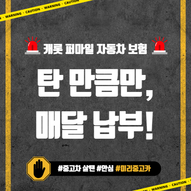 캐롯 퍼마일 자동차보험