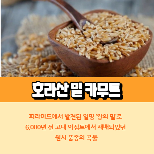 호라산 밀