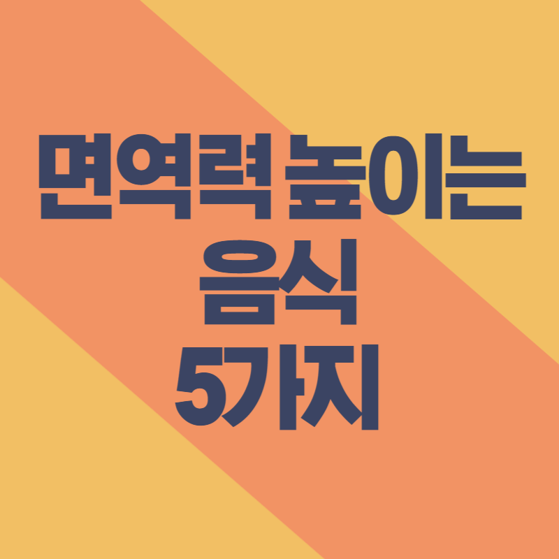 면역력 높이는 음식