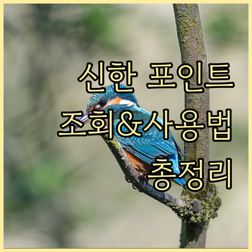 신한은행 카드 포인트 조회 및 사용법