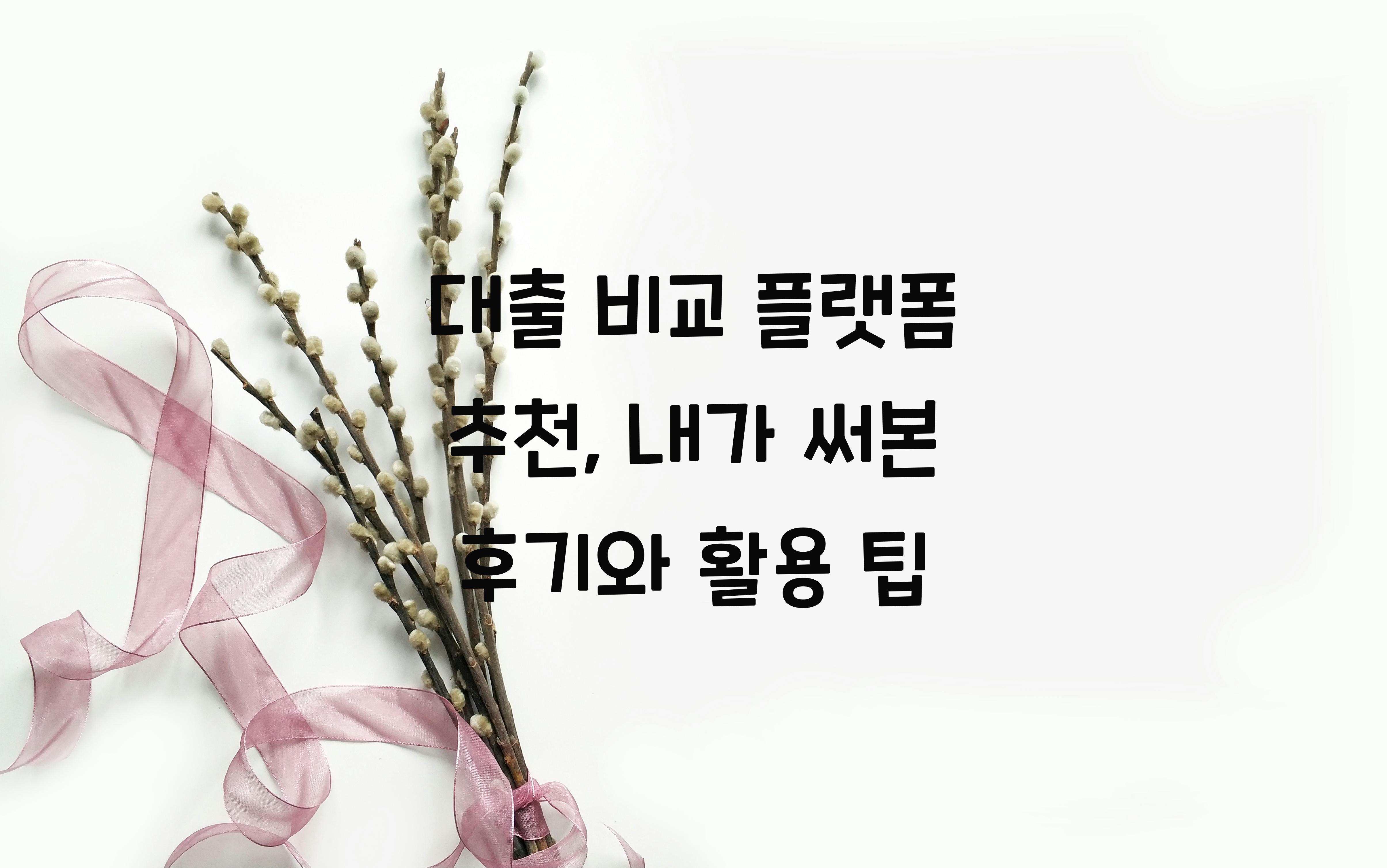 대출 비교 플랫폼 추천