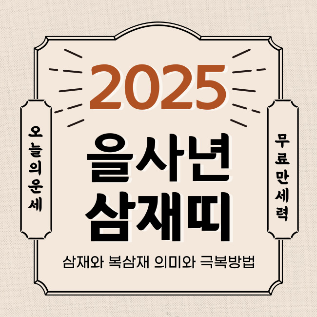 2025년 삼재띠