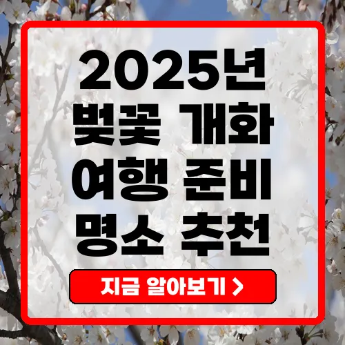 2025년 벚꽃 개화 여행 준비 명소 추천