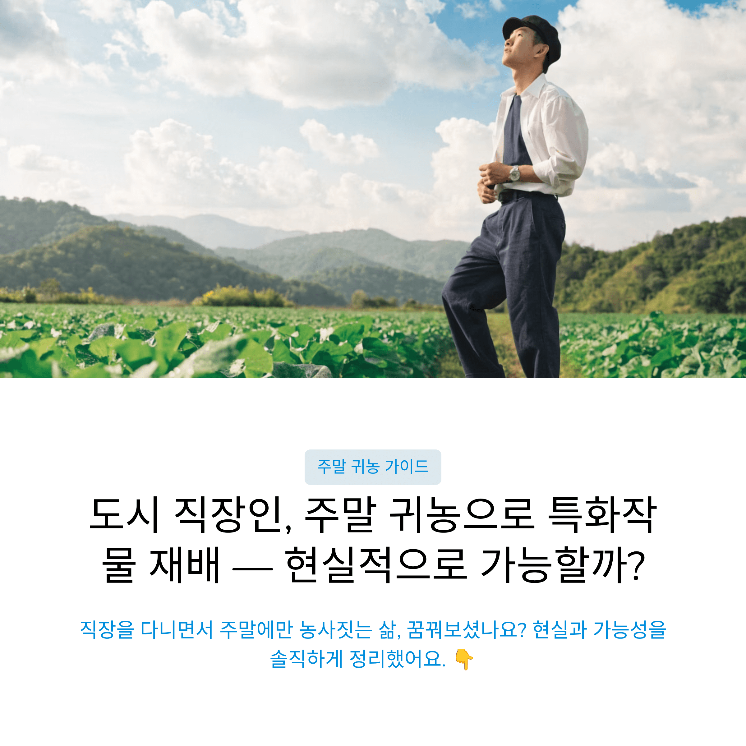 도시 직장인이 주말 귀농으로 특화작물을 재배할 때 반드시 알아야 할 현실과 가능성 총정리