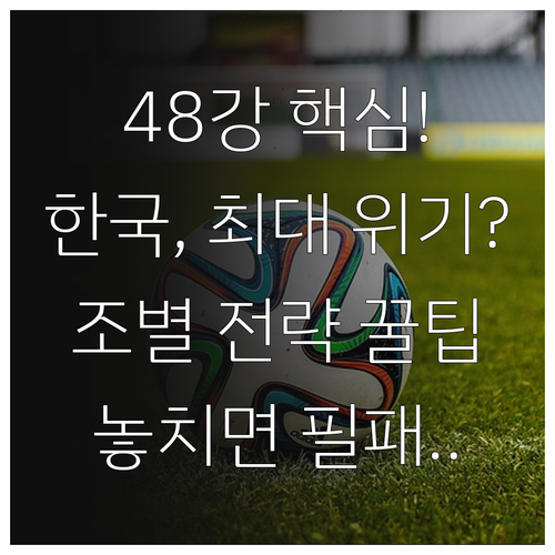 2026 월드컵 48개국 체제 한국의..