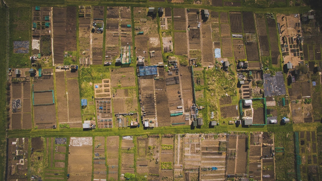 Farmland