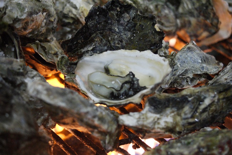 보령시 &amp;#39;천북 굴 대 축제&amp;#39; 정보 알아보기 