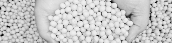 메주콩 삶기: 씻고 불리기