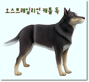 안녕soni