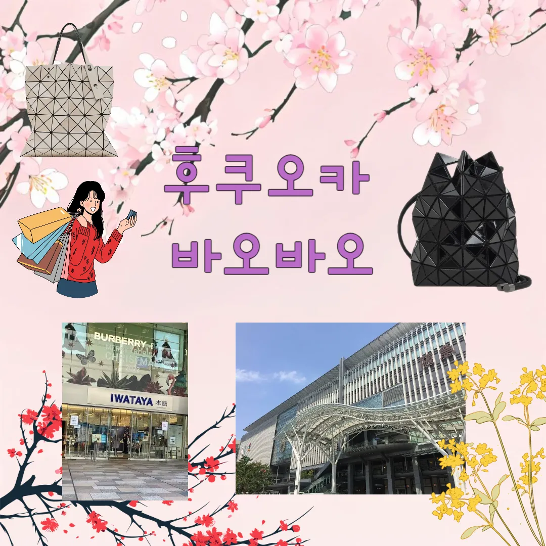 후쿠오카 바오바오백