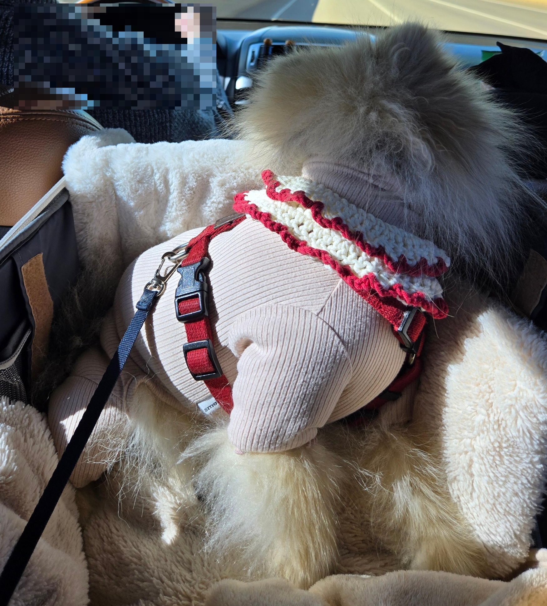 강아지 모달 티셔츠