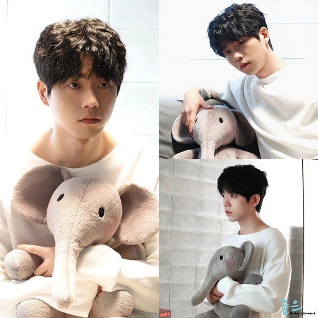 어린날의 코끼리는 엄마, 아빠의 사랑에 굶주린 마이클의 유일한 '사랑', '희망'이였습니다.