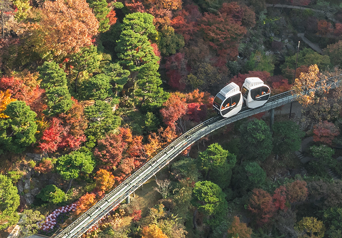 화담숲 가을 단풍 여행지로 무조건 가야 합니다.