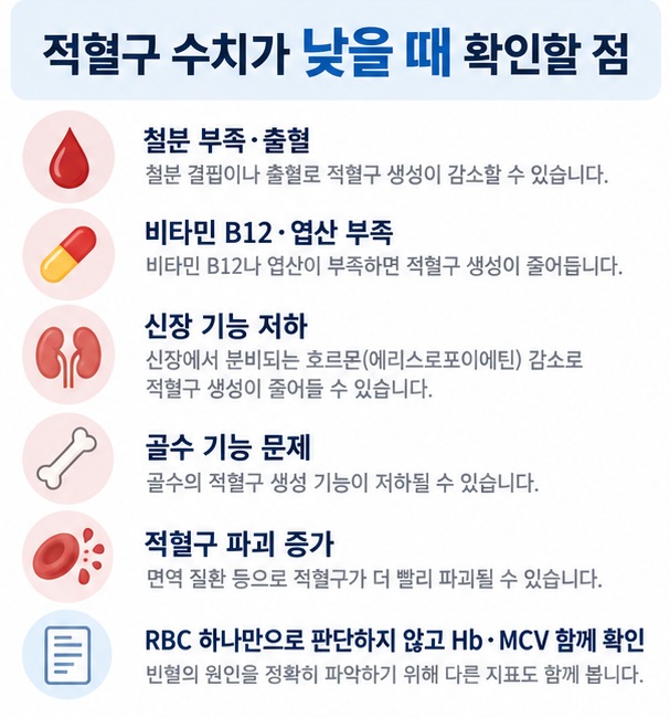 적혈구 수치가 낮을 때 철분 비타민 B12 엽산 출혈 신장 기능 골수 문제를 함께 확인하는 원인 안내 인포그래픽