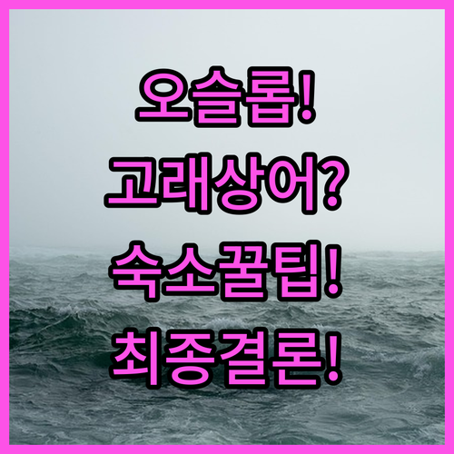 세부 남부 오슬롭 산탄데르 숙소 완벽..