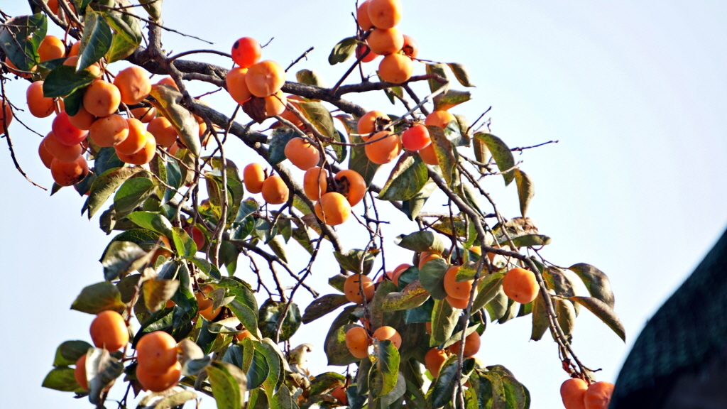 img.jpg?credential=yqXZFxpELC7KVnFOS48yl