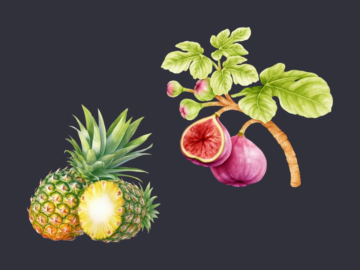 퀘르세틴 브로멜라인