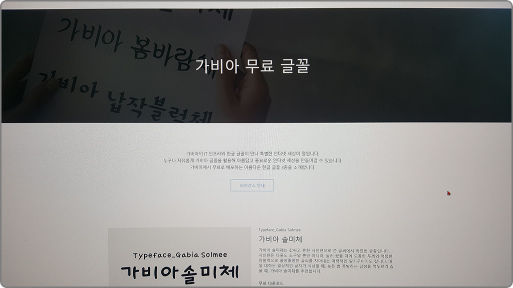 홈페이지
