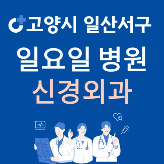 고양시-일산서구-일요일-신경외과-진료하는곳-주말에-문여는-일산-24시간-신경외과-병원-찾기