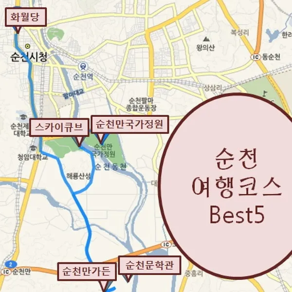 순천 여행코스 추천 순천만습지와 근처 맛집 일정 정리_6