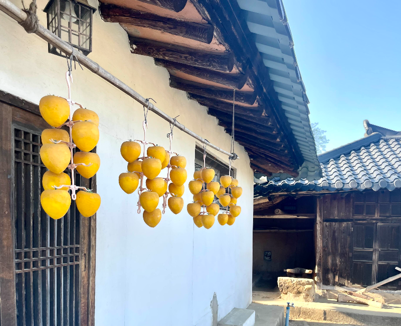 리틀 포레스트 영화촬영지 집 - 처마내 달린 곶감