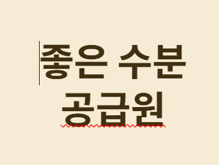 추천하는 수분 공급원