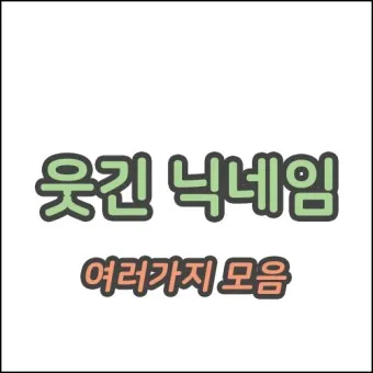 웃긴 닉네임 추천 재밌는 닉네임 웃긴 이름 모음_19