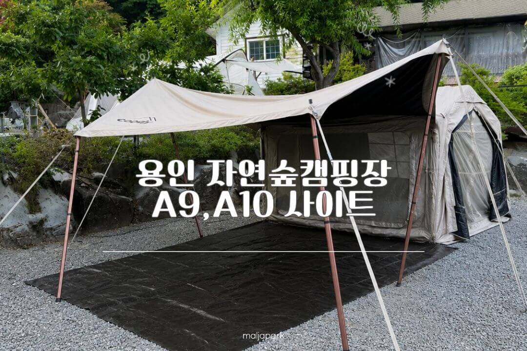 용인 자연숲캠핑장 A9 A10 사이트 후기 썸네일