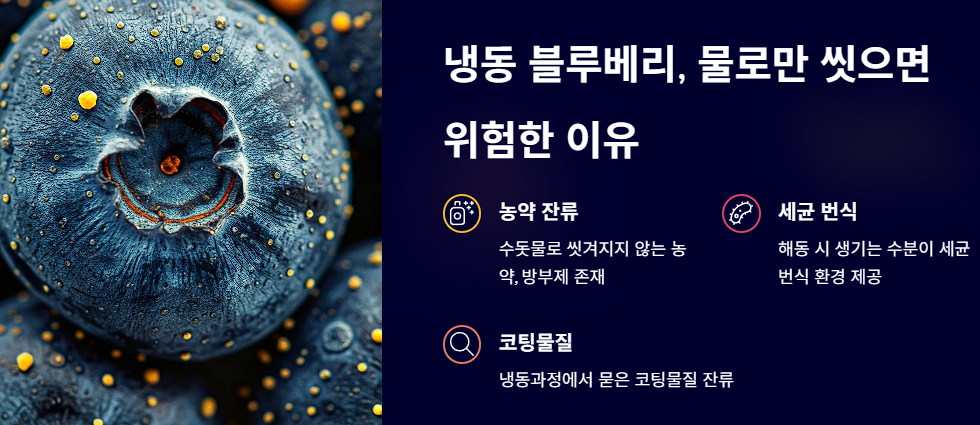 냉동 블루베리, 물로만 씻으면 위험한 이유