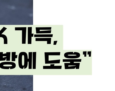 케일 효능