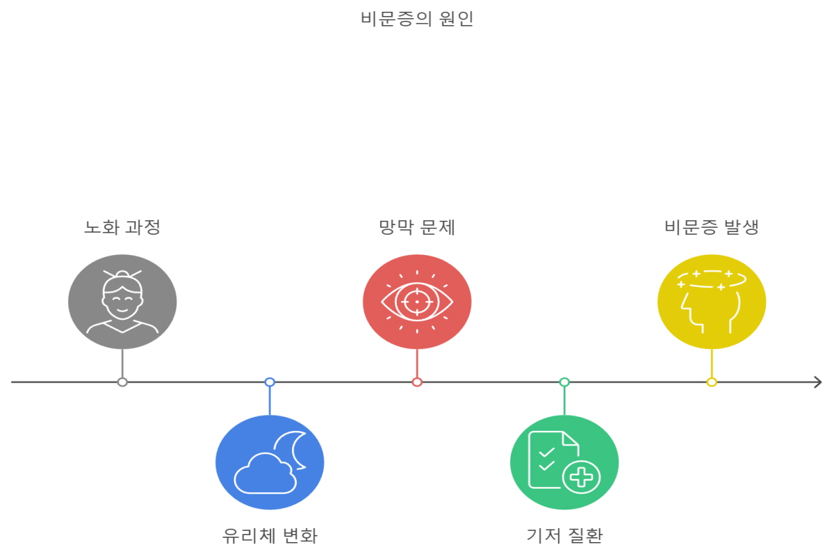비문증 원인과 치료
