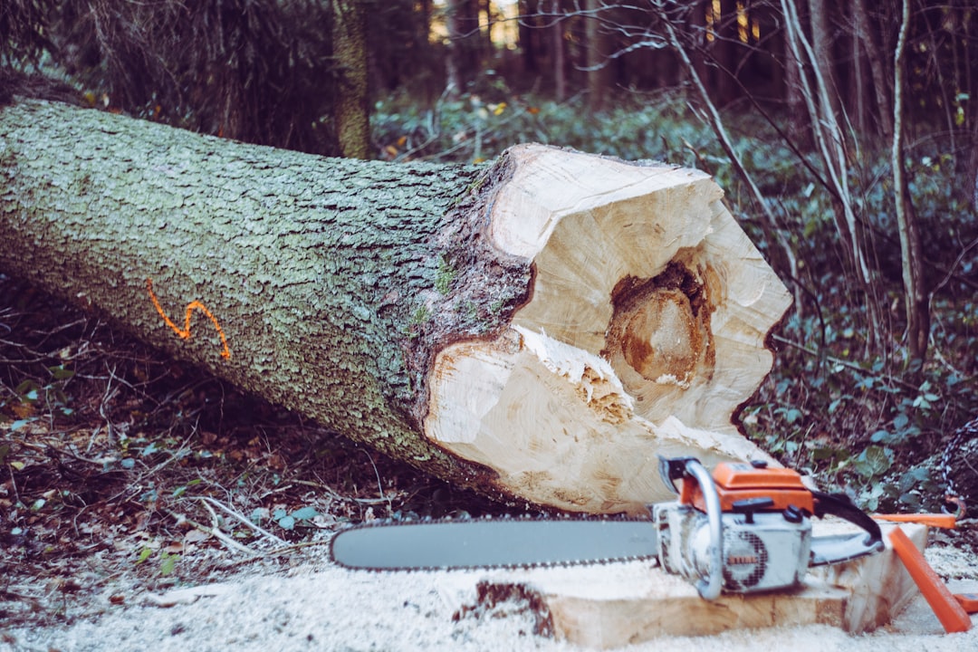 Forestry
