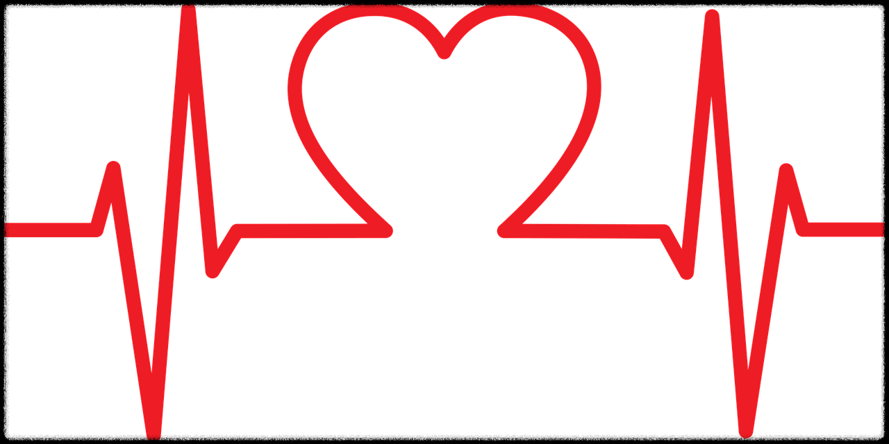 오메가3 효능 사진4