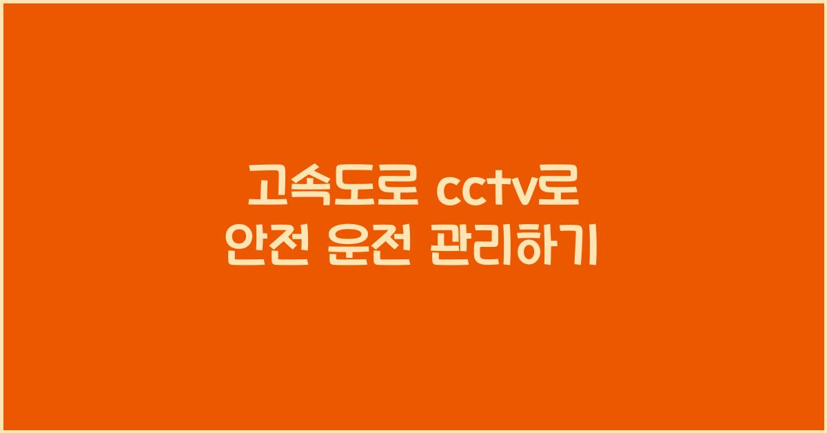 고속도로 cctv