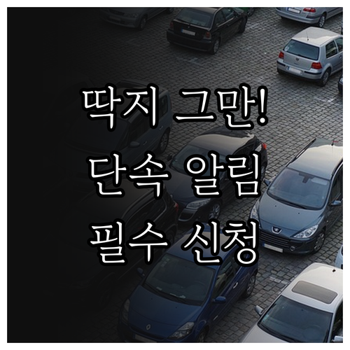목포시 불법 주정차 단속 알림 신청 ..