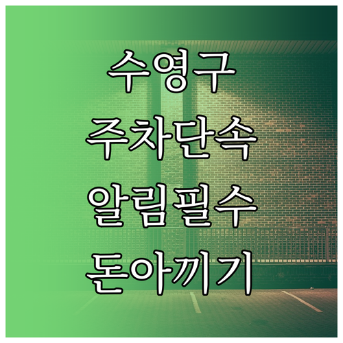 수영구 불법 주정차 단속 문자 알림 ..