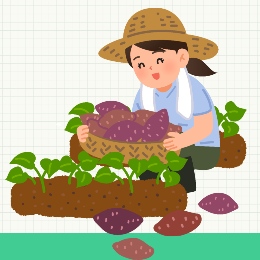 농어업인수당 신청