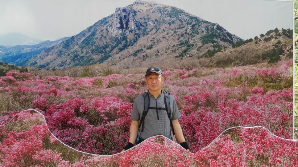 100대 명산 등산하기 서른세번째 대구 비슬산 봄철 참꽃군락지 여행객이 반드시 찾는 최고의 절정 풍경