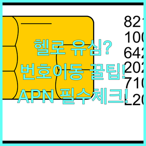 헬로모바일 번호이동 성공 비결 유심 ..