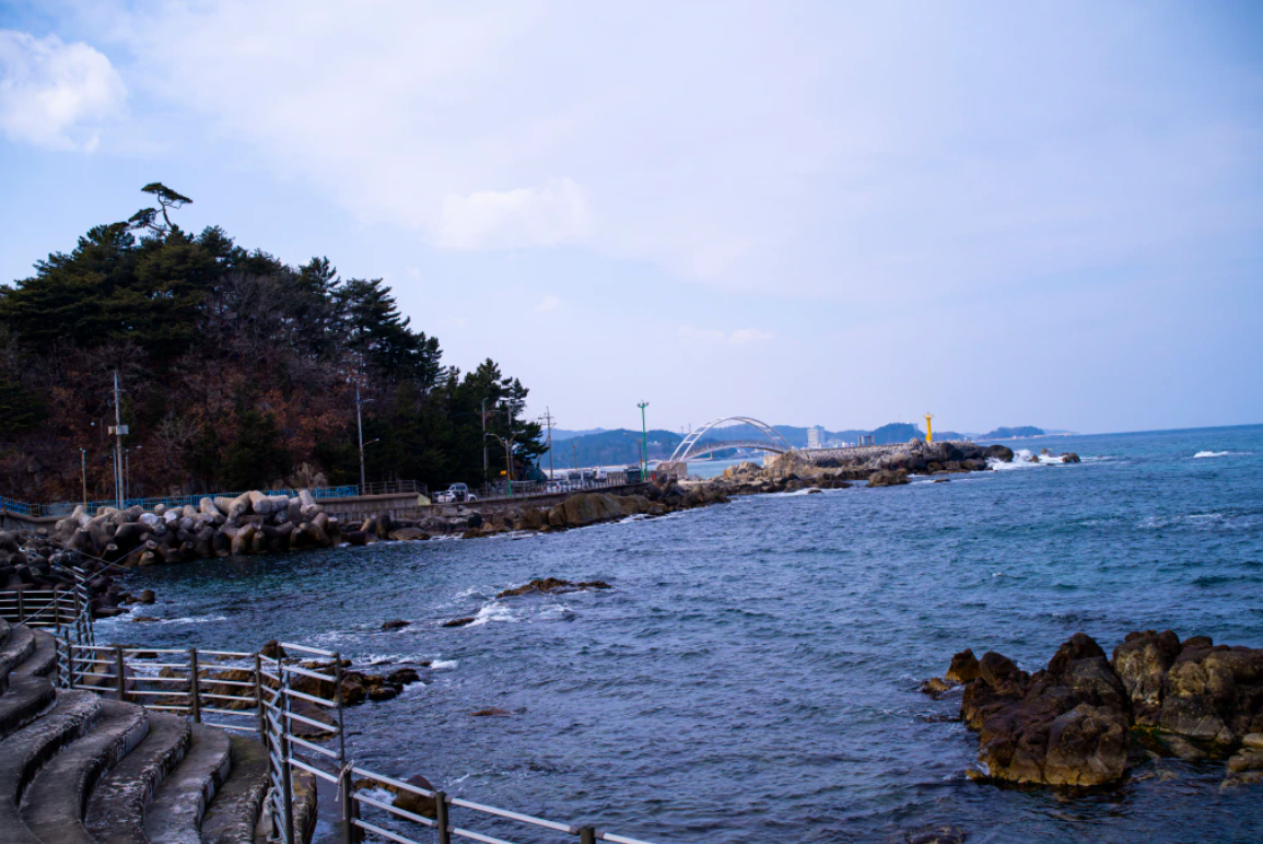 양양 남애항 관련 사진