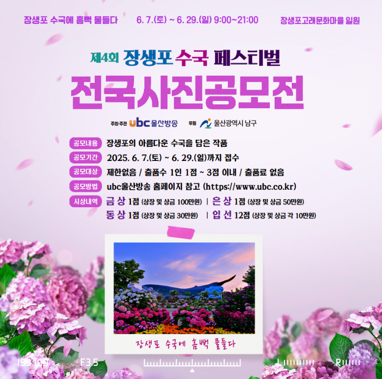 2025 울산 장생포 수국축제 일정·위치·요금 총정리! (6.7~6.29)