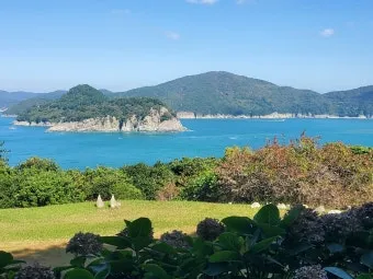 거제도 실내 데이트 완벽 코스 추천과 비오는 날 즐기기_13