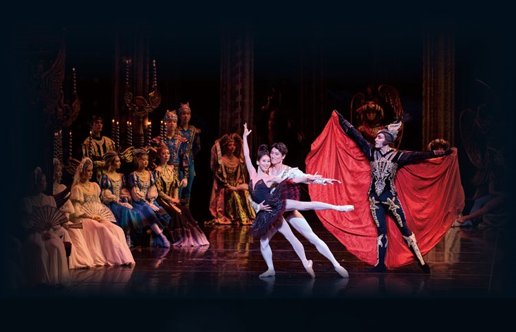 용인포은아트홀 공연 유니버설발레단 백조의 호수 발레 공연 작품 해석 티켓 가격 할인 예매 위치 장소 좌석 포스터 내용 사진