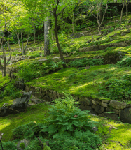 화담숲 예약 입장료 맛집 [모노레일]