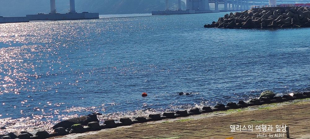 부산 켄트호텔 주변 가볼만한 곳 해변산책 민락수변공원