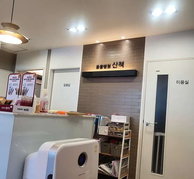 동물병원 산책