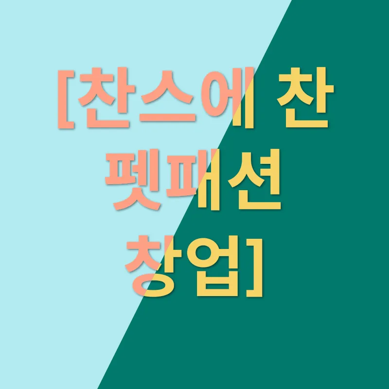 애견복 브랜드 창업_2