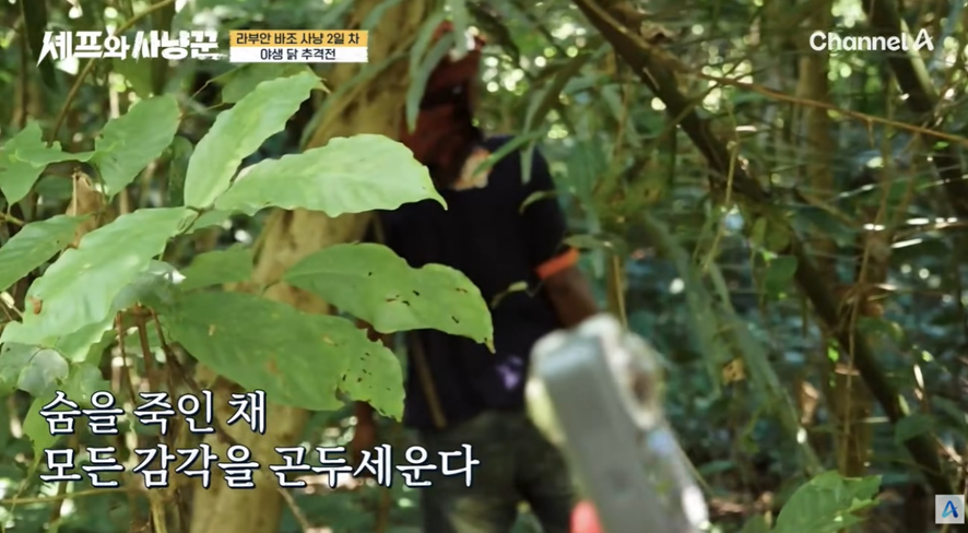 야생닭을 맨손으로 잡았다는 김대호 근황 | 인스티즈